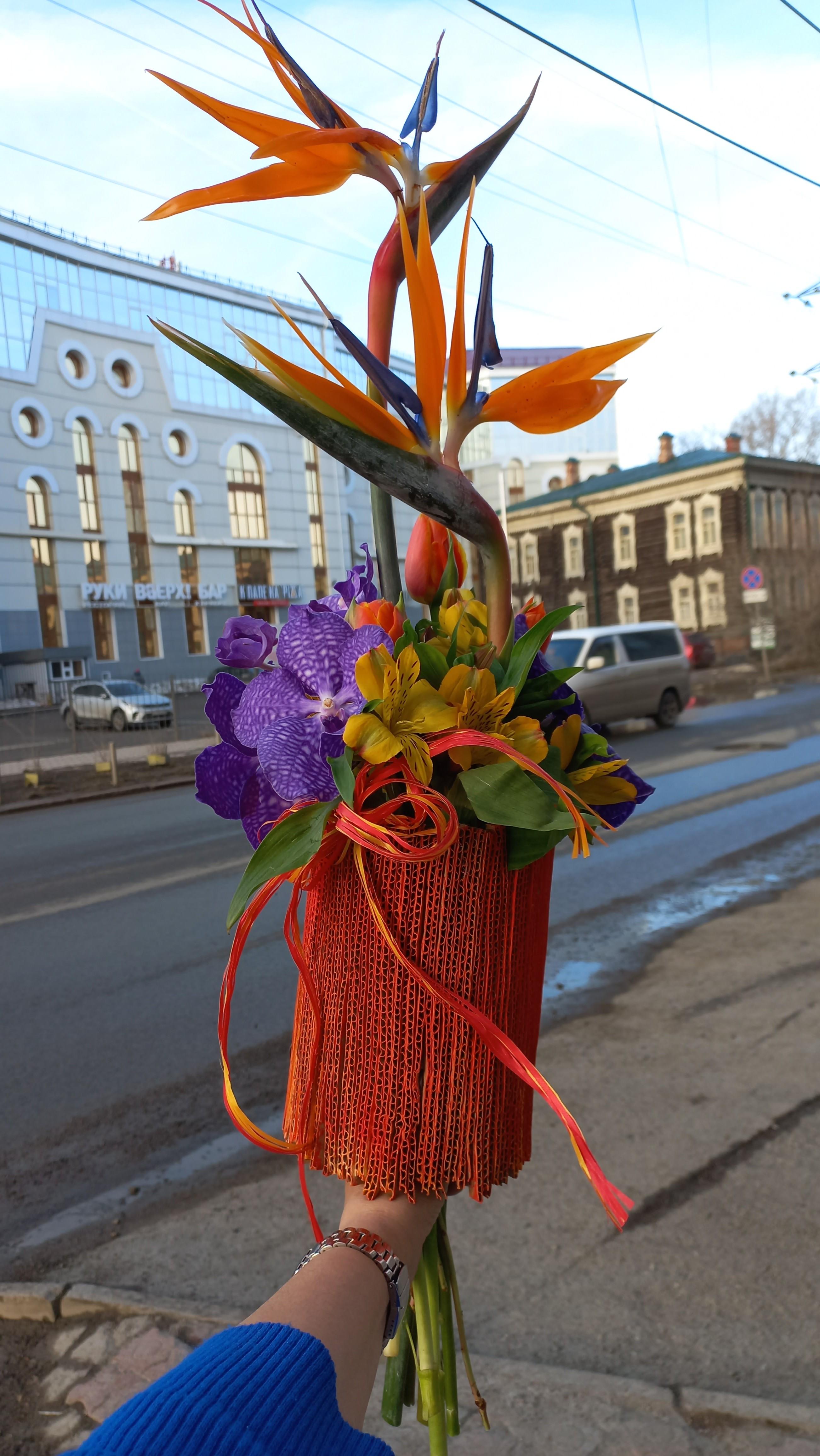 Заказать Фламинго в городе Томск